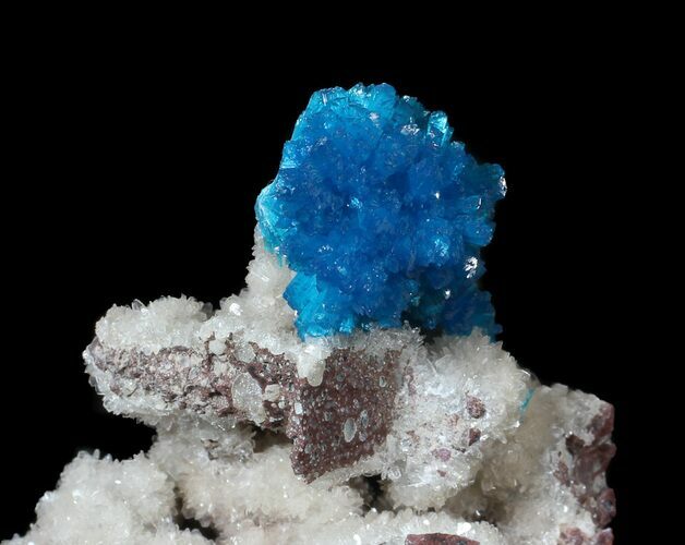Vibrant Blue Cavansite Cluster on Stilbite - India #62875